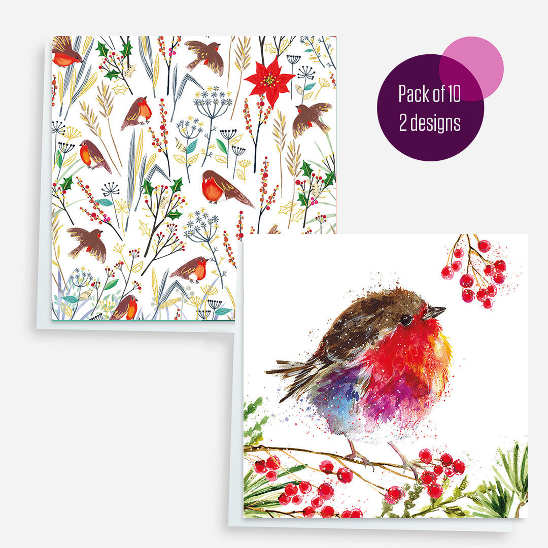 Charity Christmas Cards_Festive Robin twin pack
