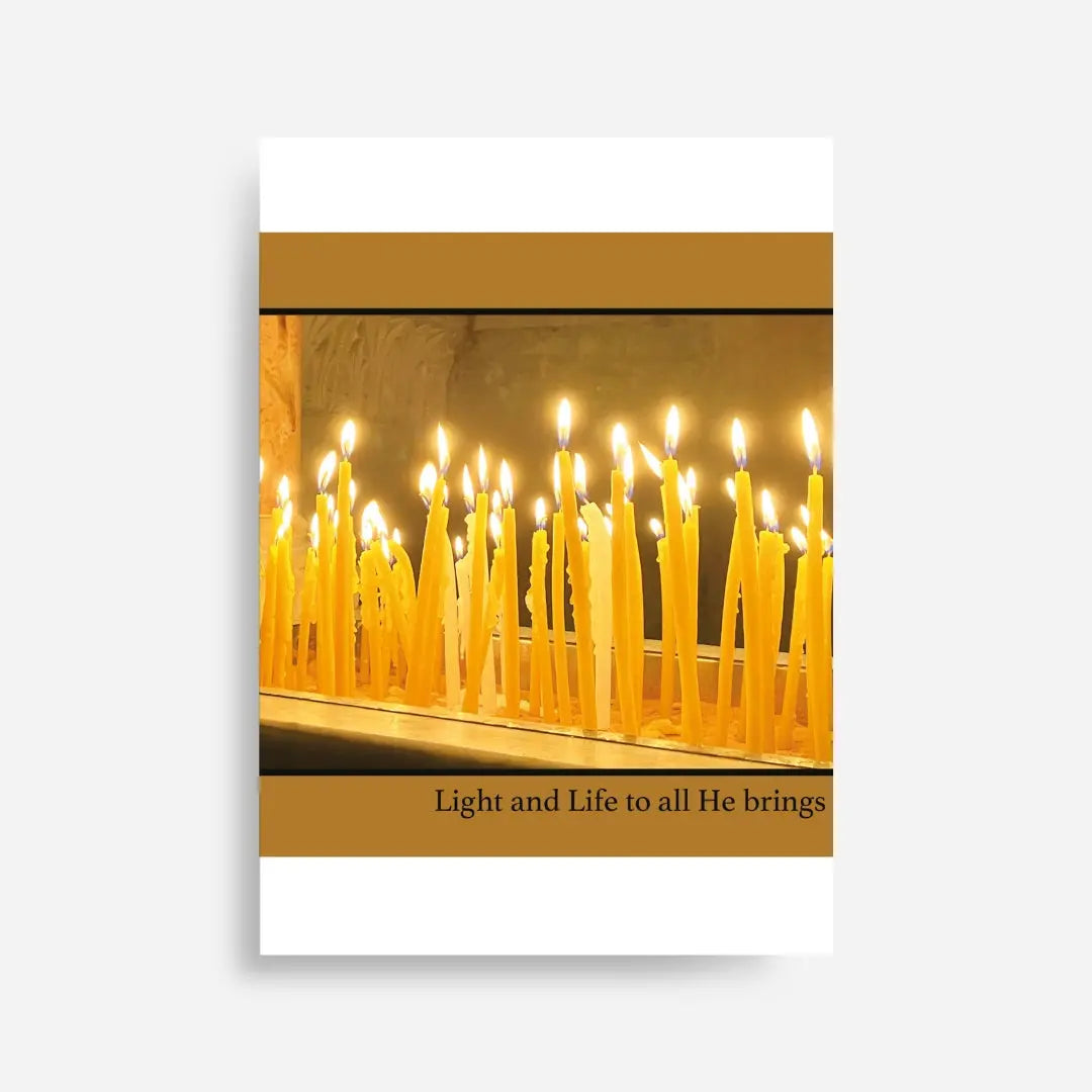 Large Light & Life Folders - Pack of 50