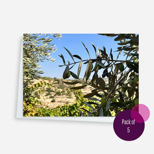 Notecards Olives in Palestine