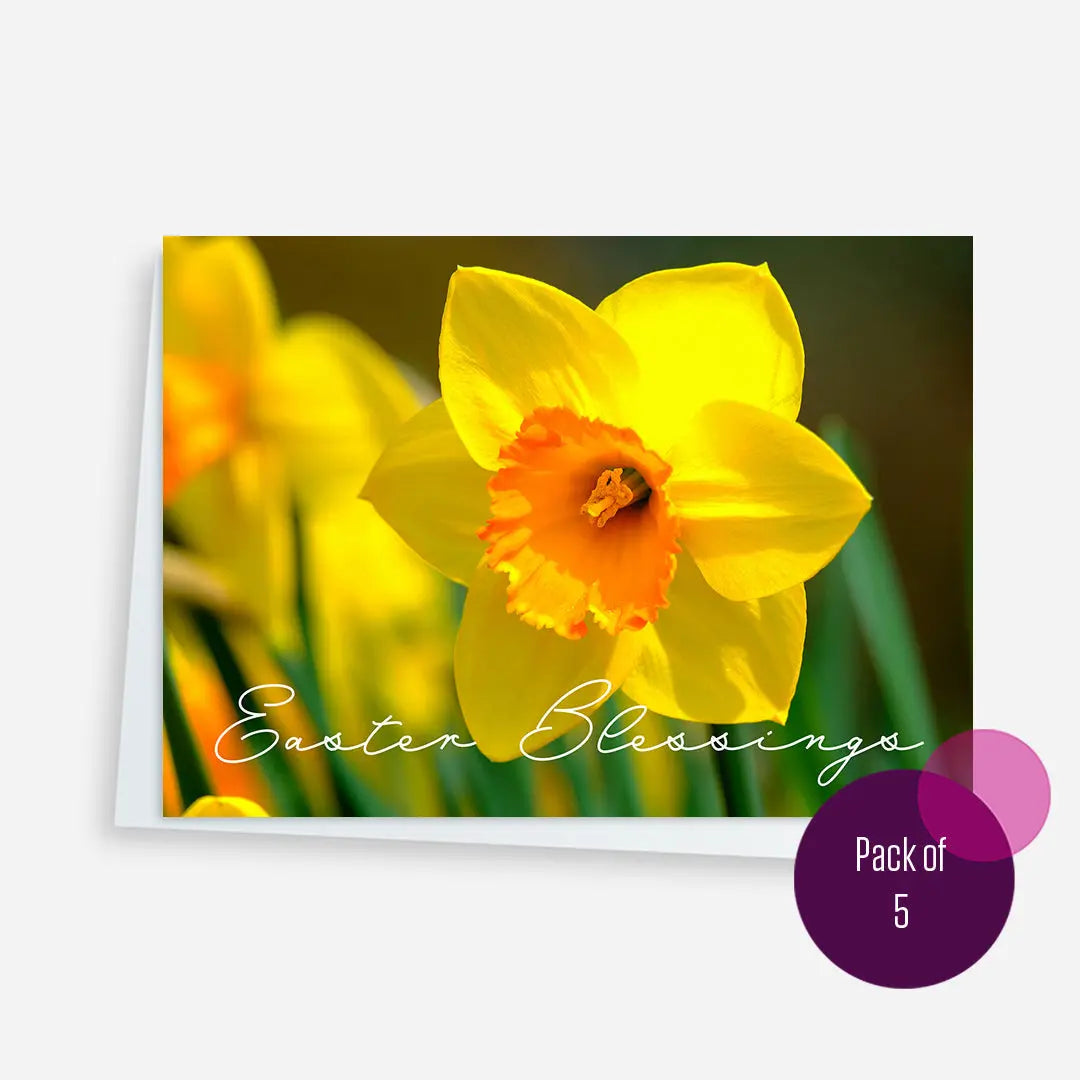 Easter Cards Spring Flowers