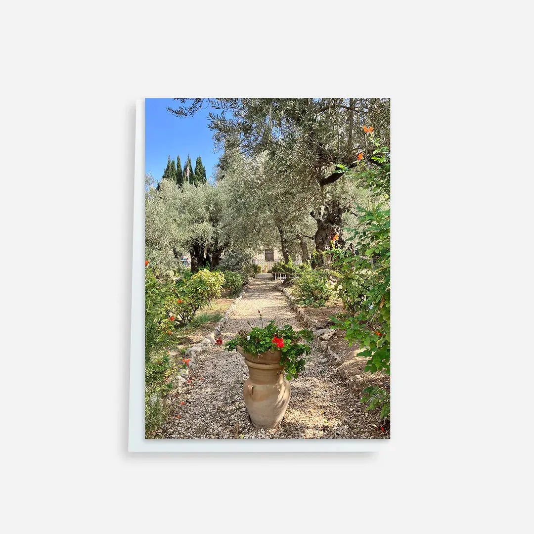 Notecards Religious Notecards - Spring in Jerusalem 