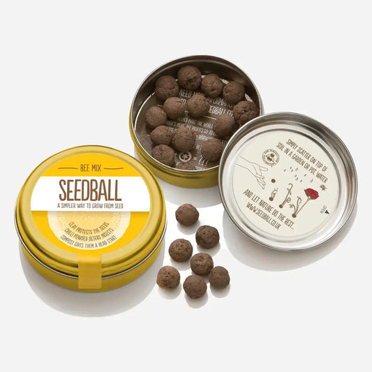 Gifts Seedball Tin - Bee Mix 